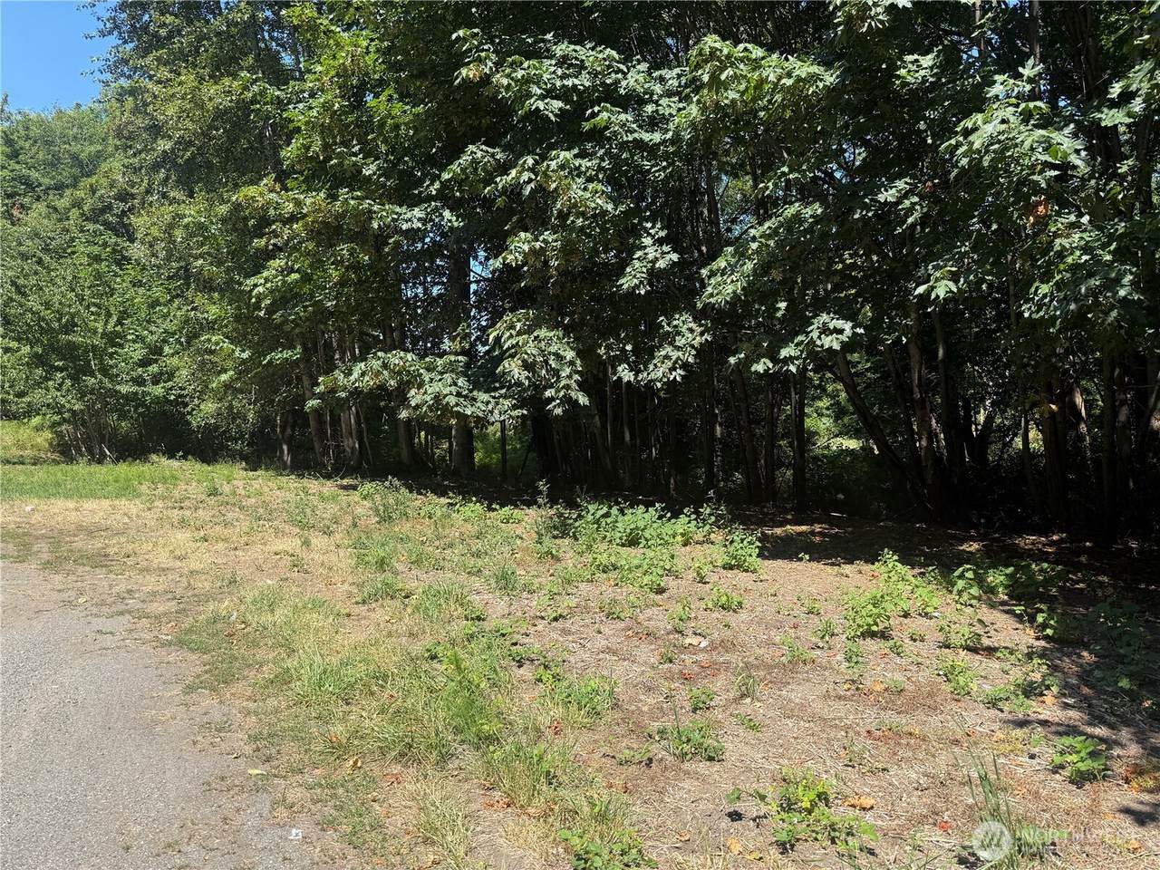 2009 Ennis Creek Road - Photo 1