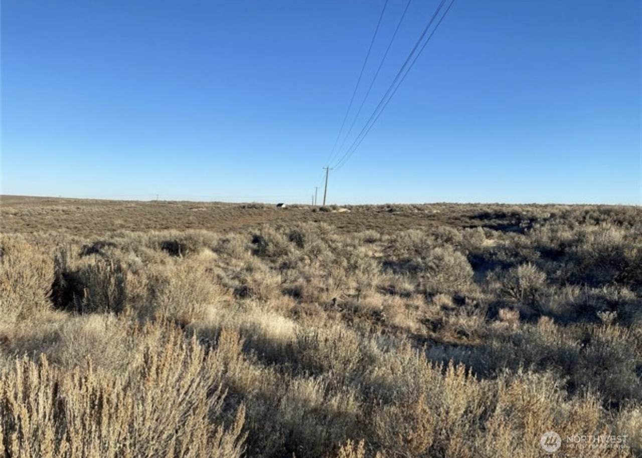 4549 Coyote Trail - Photo 1