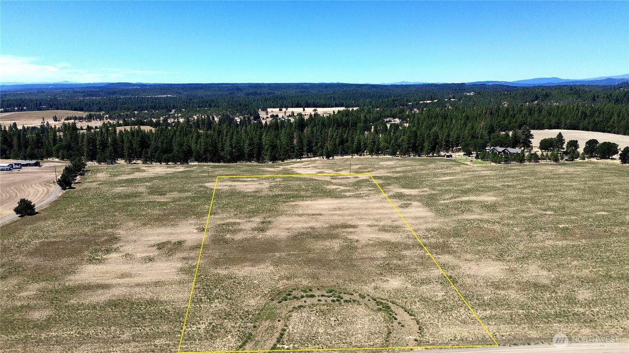 15 Lot 3 Buena Vista Road - Photo 1