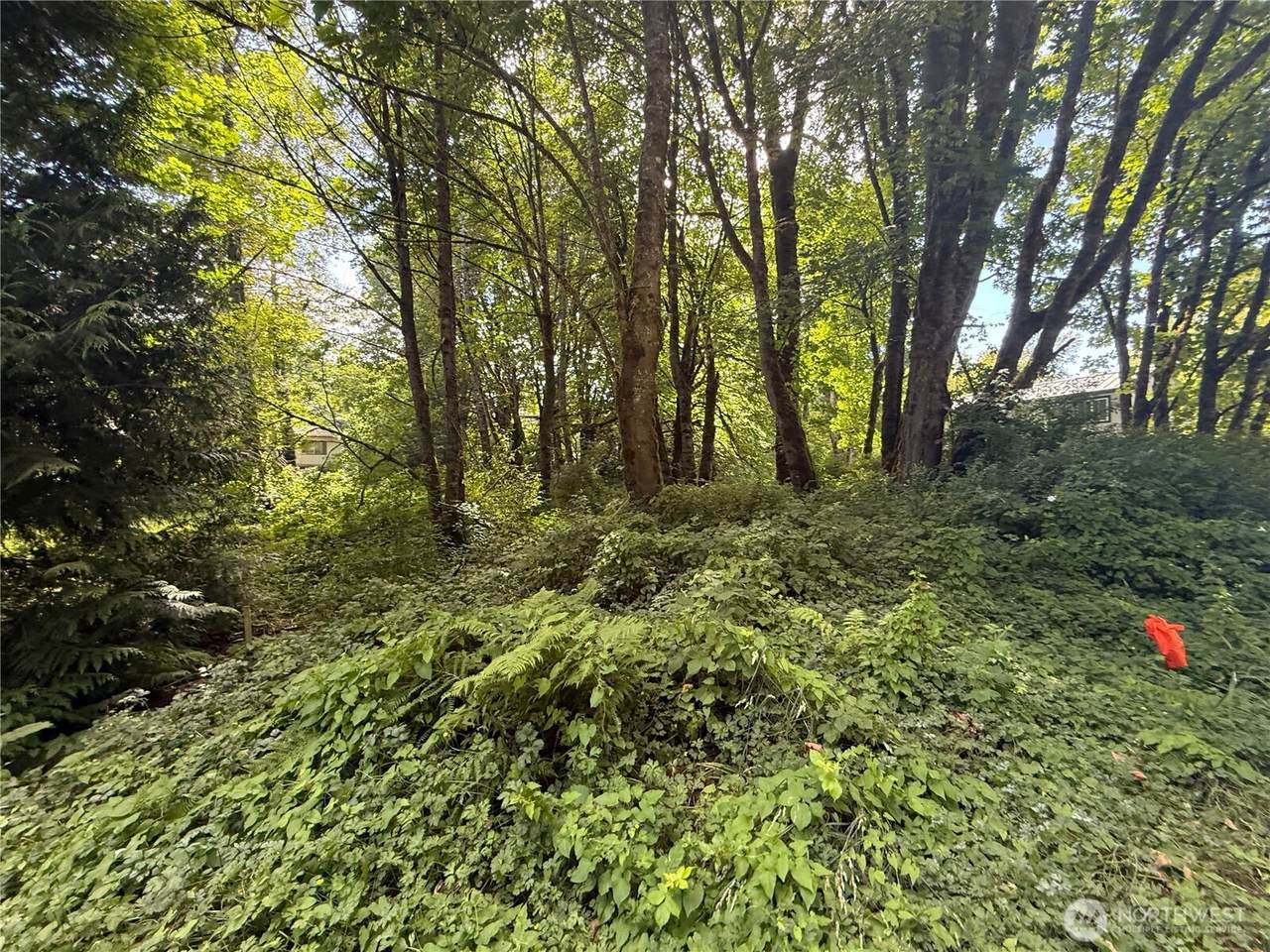 0 Cape Horn Drive - Photo 1