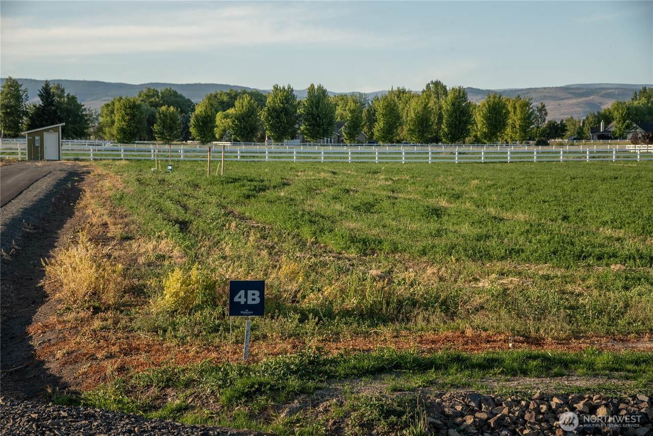 4 B Look Road - Photo 1