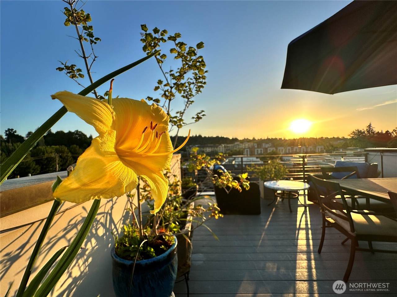 3638 Courtland Place - Photo 1