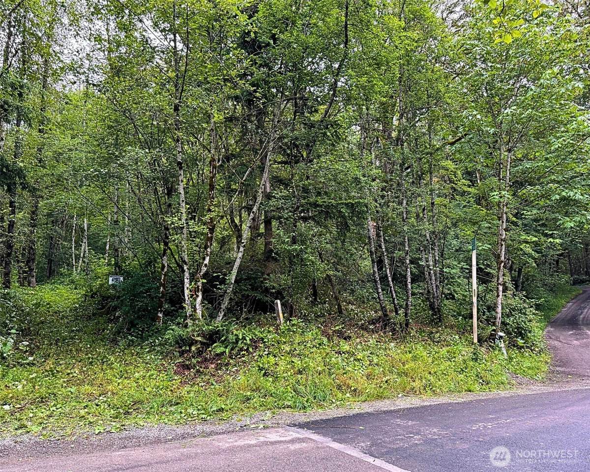 355 XX Courtney Road - Photo 1