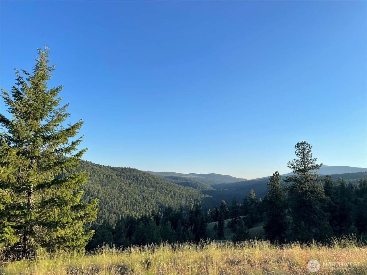 112 Tbd Sunrise Rd - Photo 1