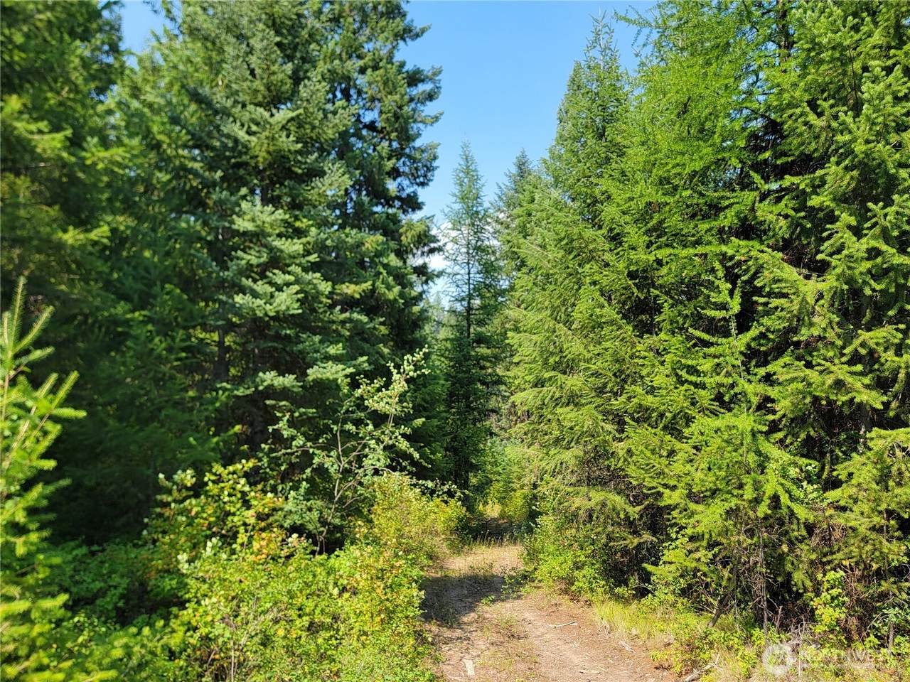https://bt-photos.global.ssl.fastly.net/nwmls/1280_boomver_1_2563248-1.jpg