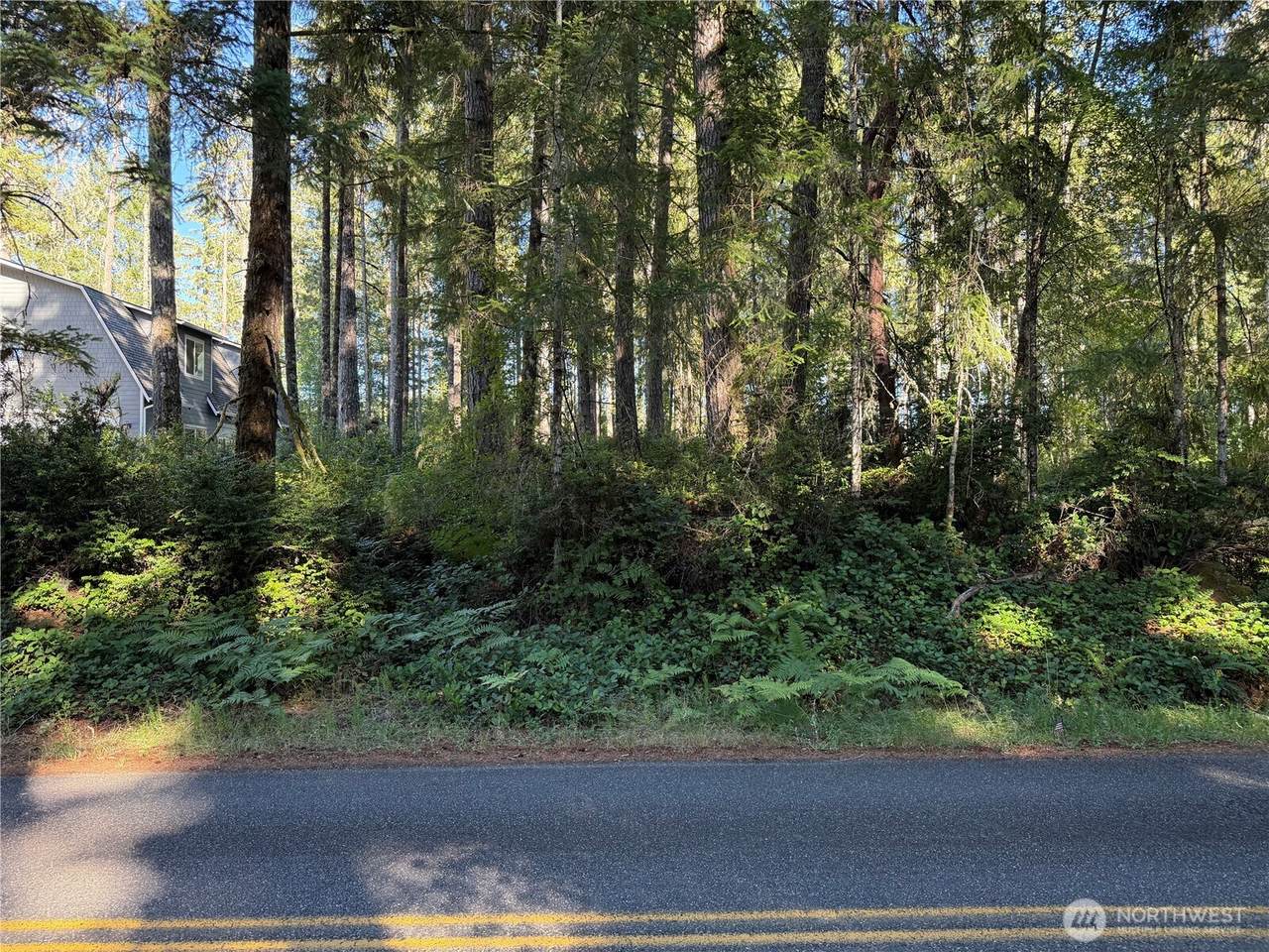 0 Mason Lake Drive - Photo 1