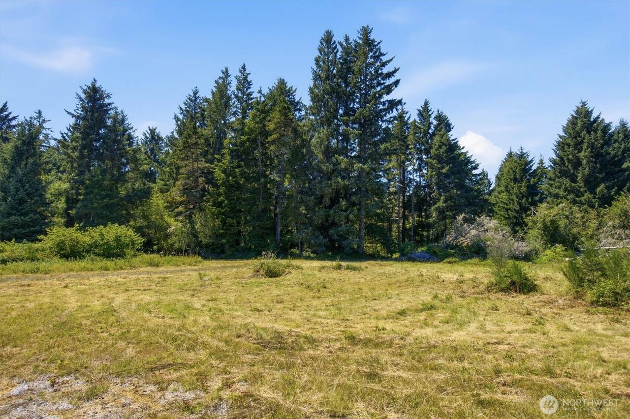 9905 Sandridge Road - Photo 1