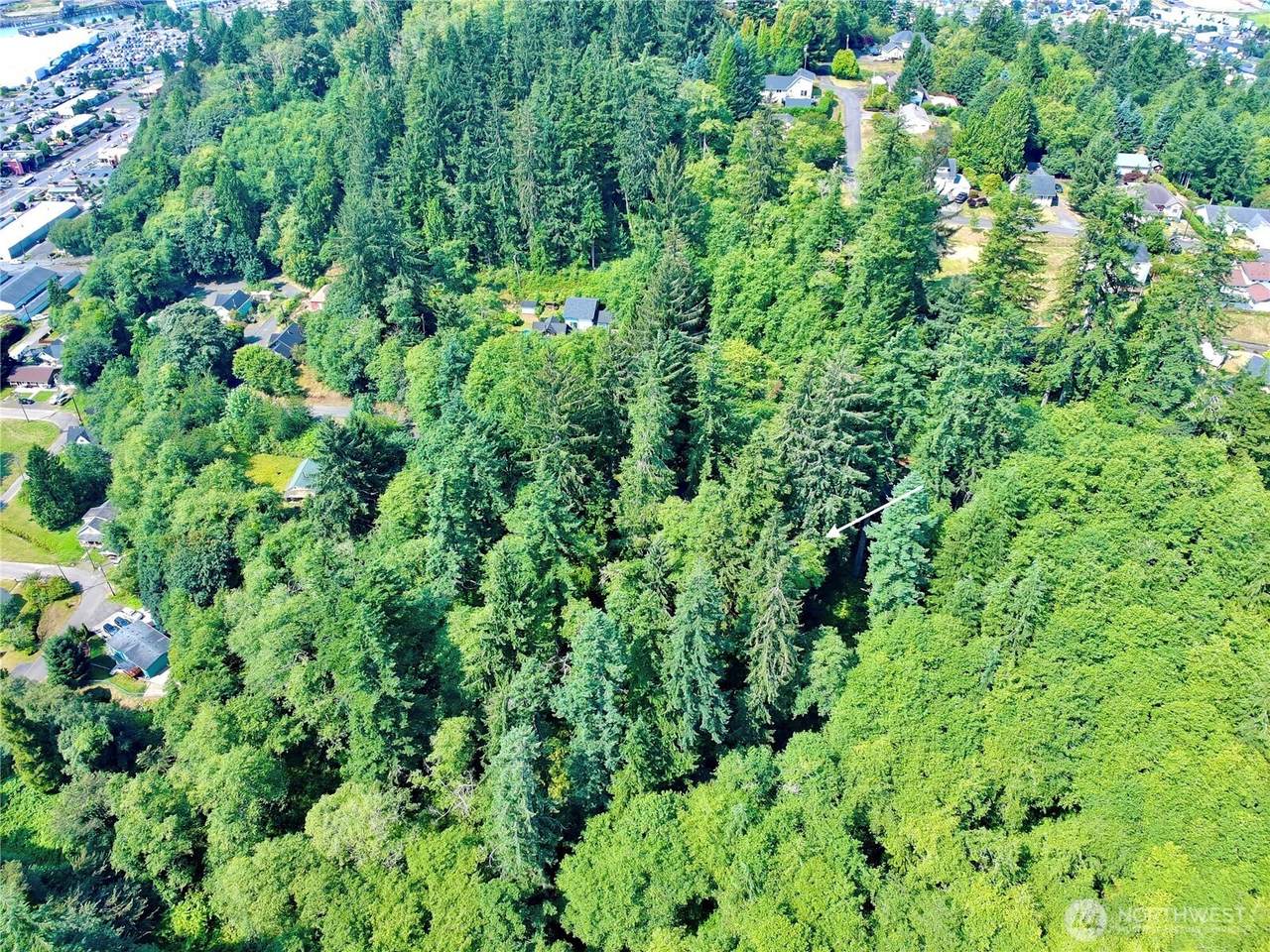 0 Blk 4 Lots 20-22 Pioneer Blvd - Photo 1