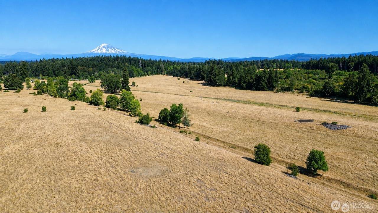 12306 Bald Hill Road - Photo 1