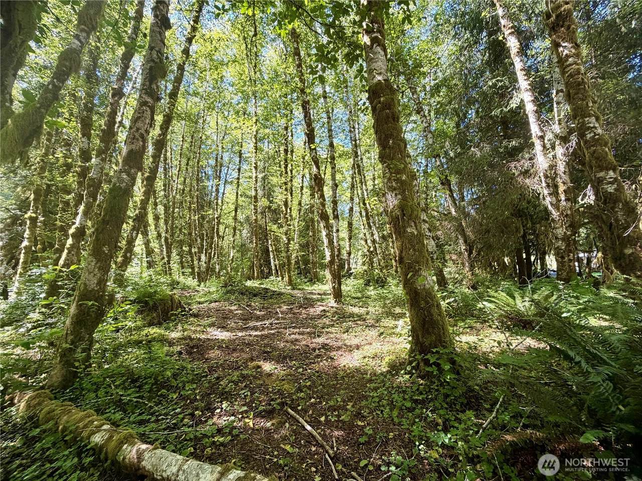 292 Sportmans Club Road - Photo 1
