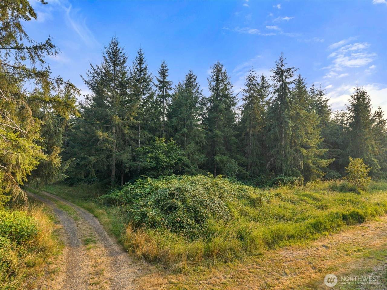 1 Parcel Aslpach Road - Photo 1