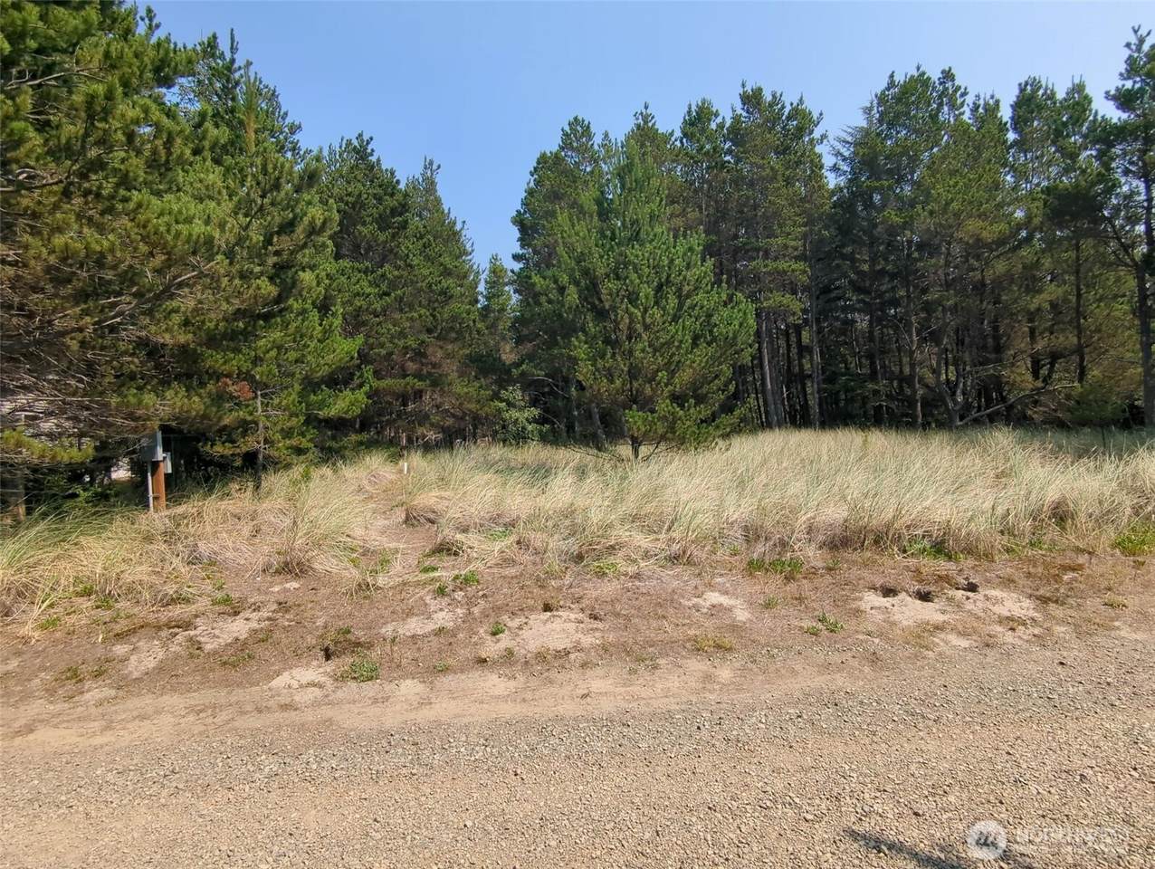 26804 J Lane - Photo 1