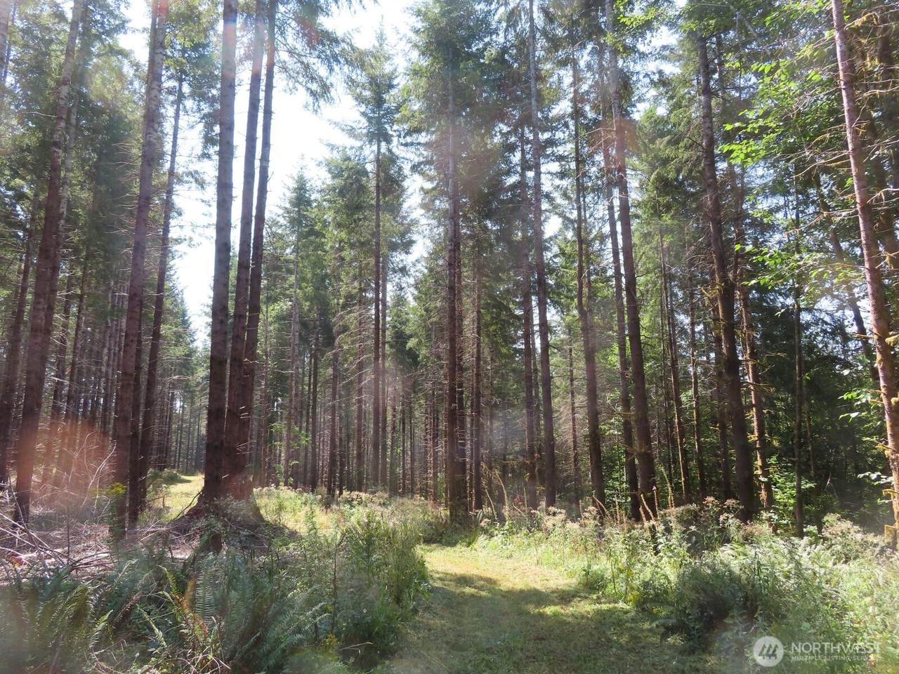0 XXX Chandler Road - Photo 1