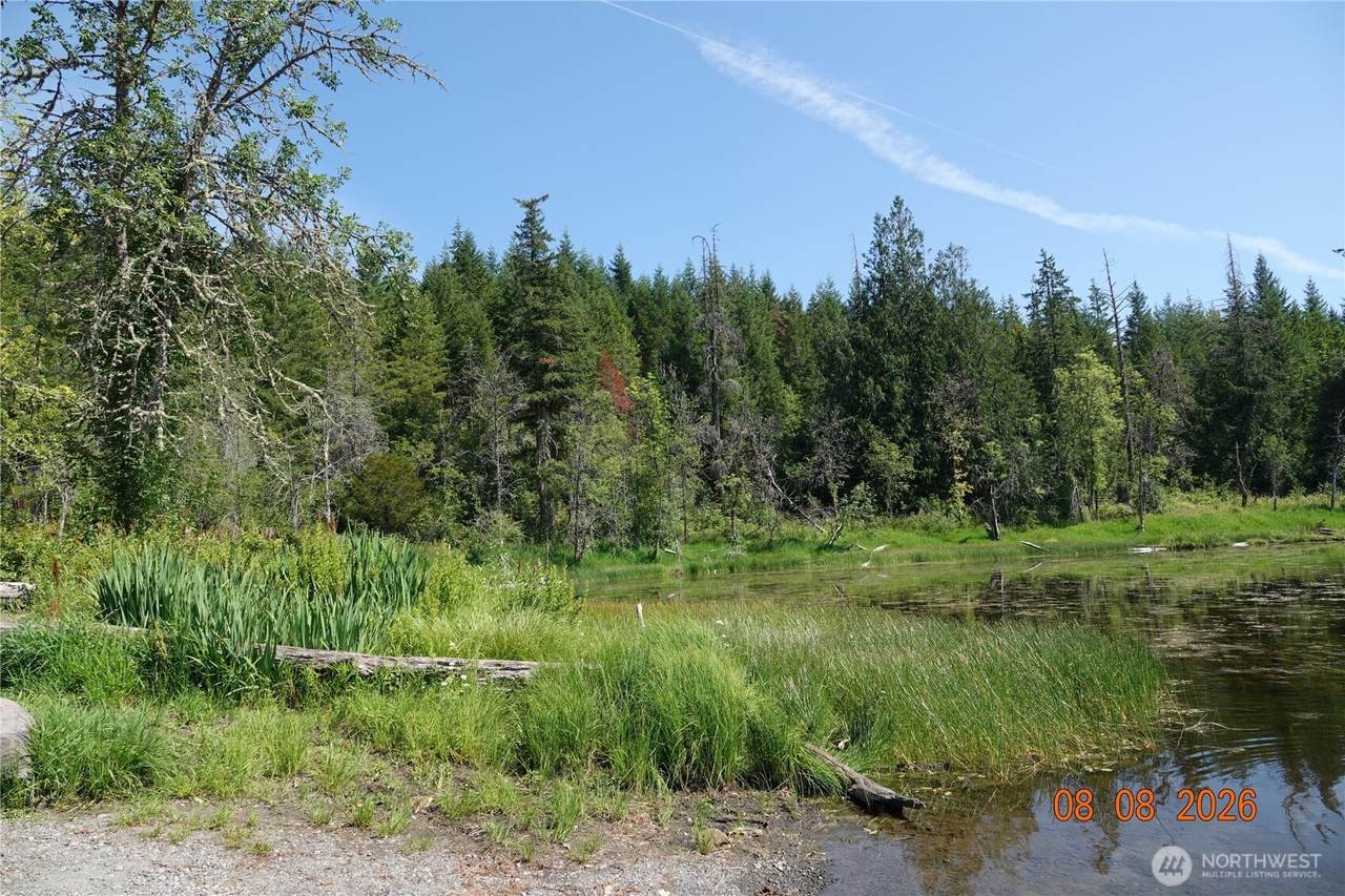 41102 Tanwax Road - Photo 1