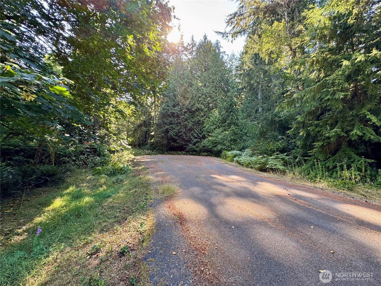 10516 106th Street - Photo 1
