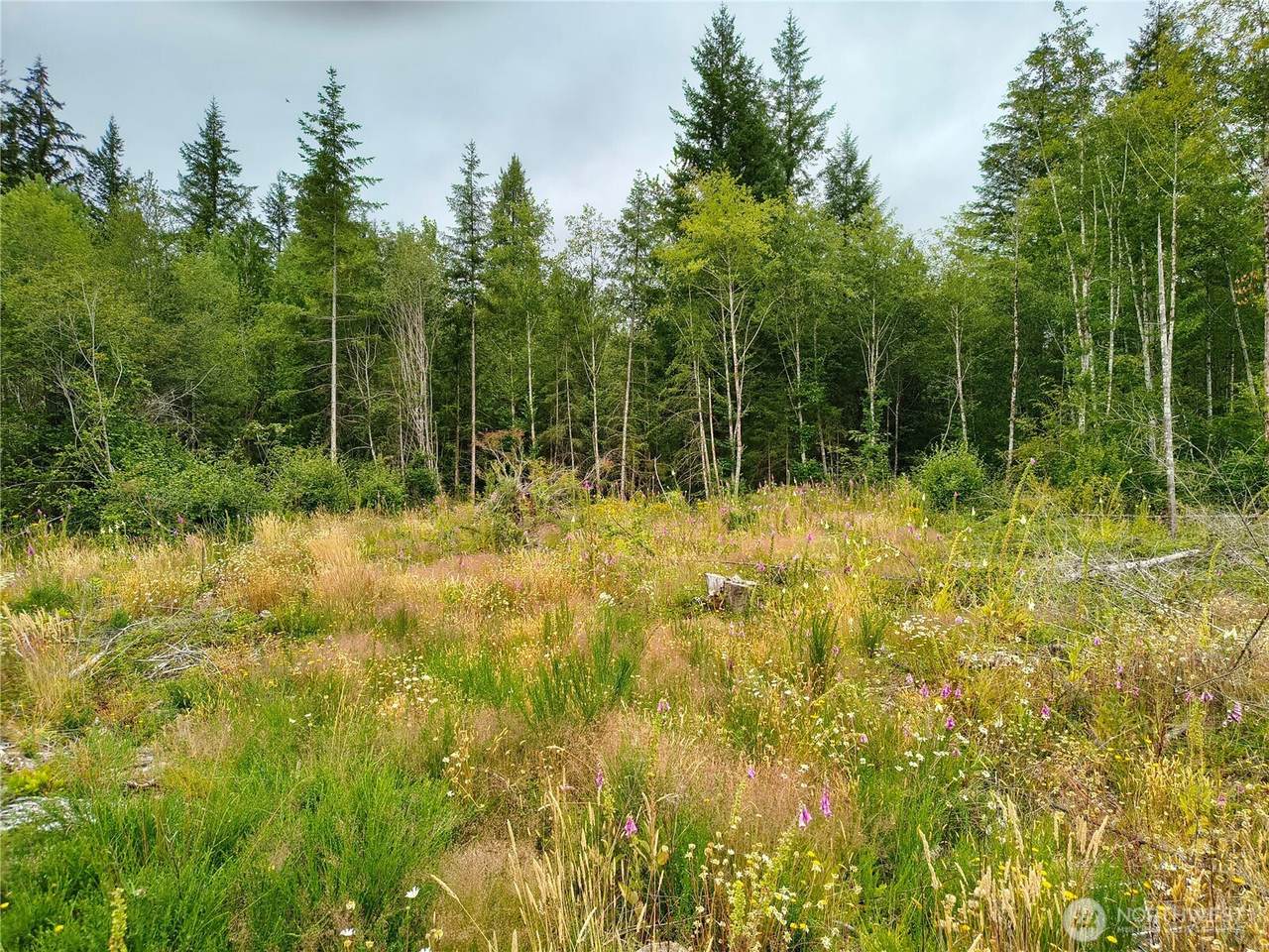 6510 101 St Avenue - Photo 1