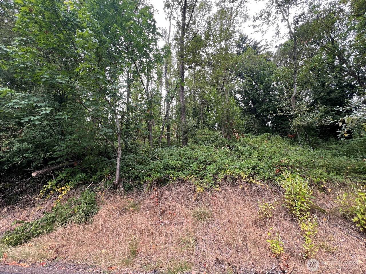 0 X Allen Drive - Photo 1