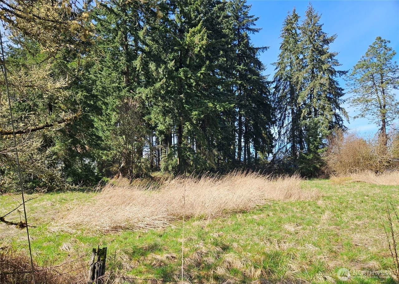 11735 Driver Street - Photo 1