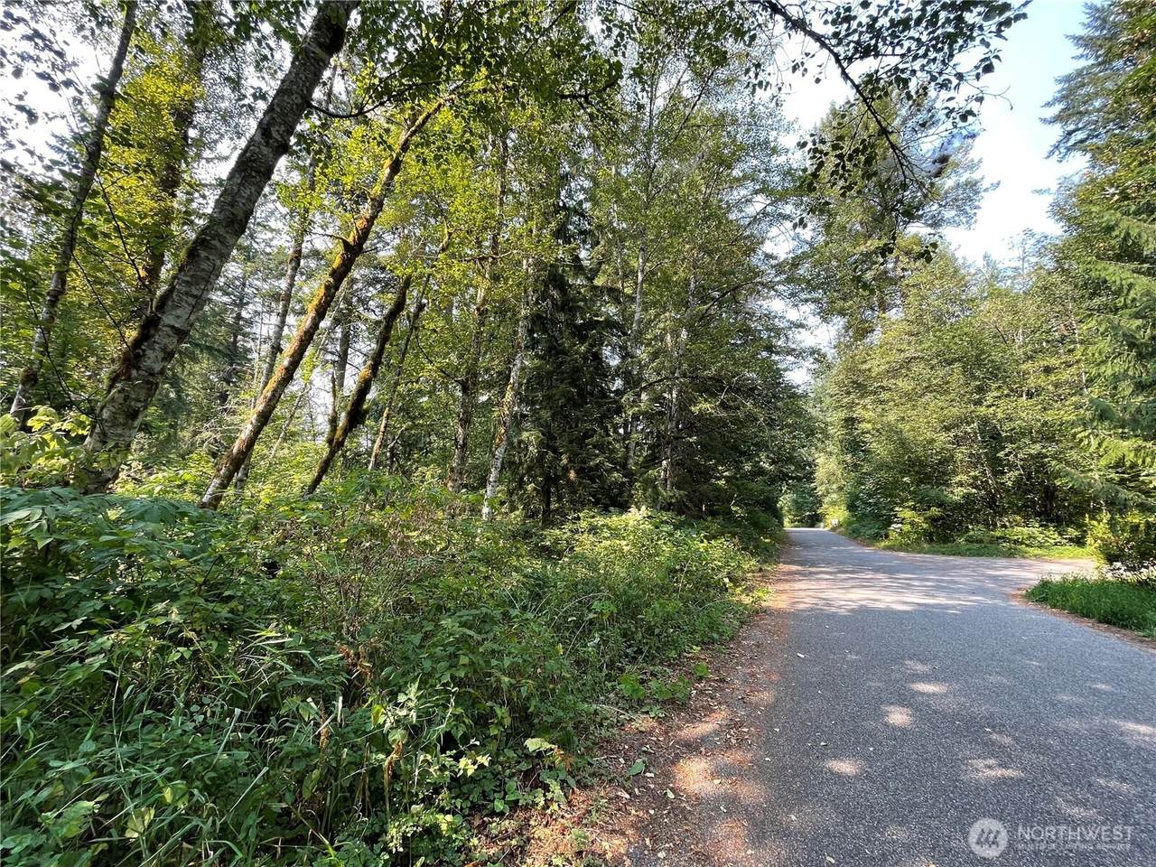 7521 Olsen Drive - Photo 1