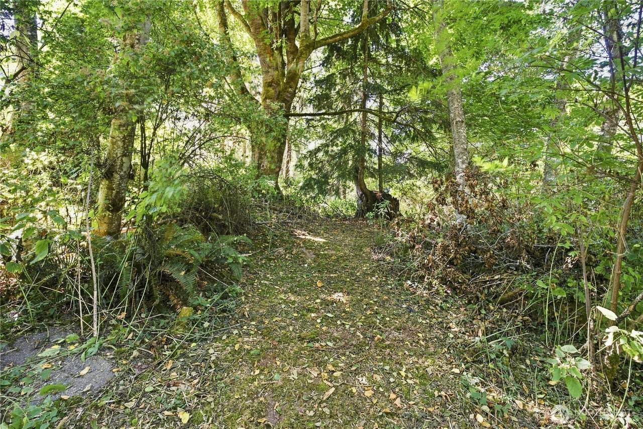 1 NHN Leroy Circle - Photo 1
