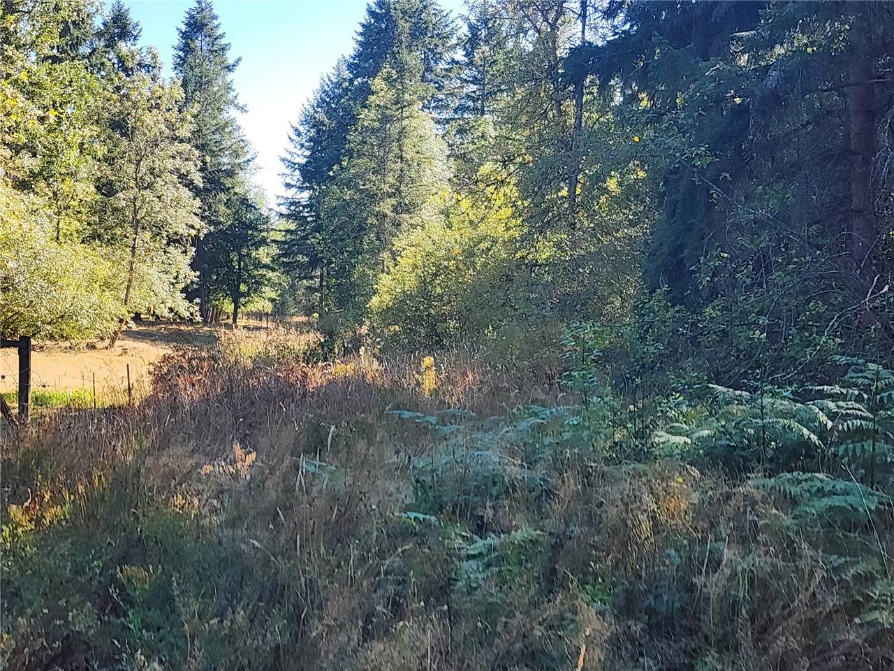 31208 Lebor Devore Road - Photo 1