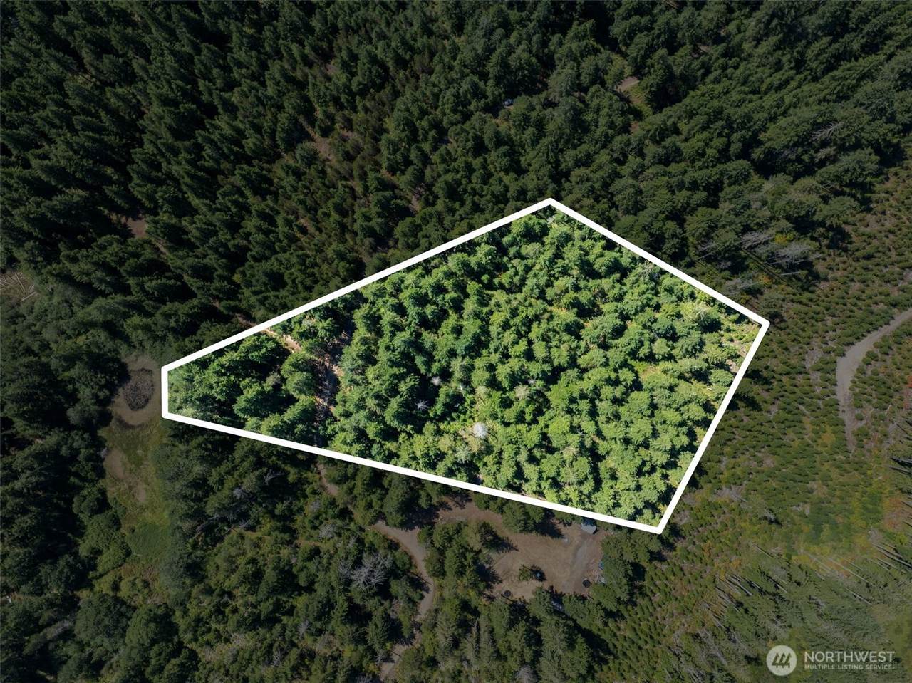 2461 Hanks Lake Road - Photo 1