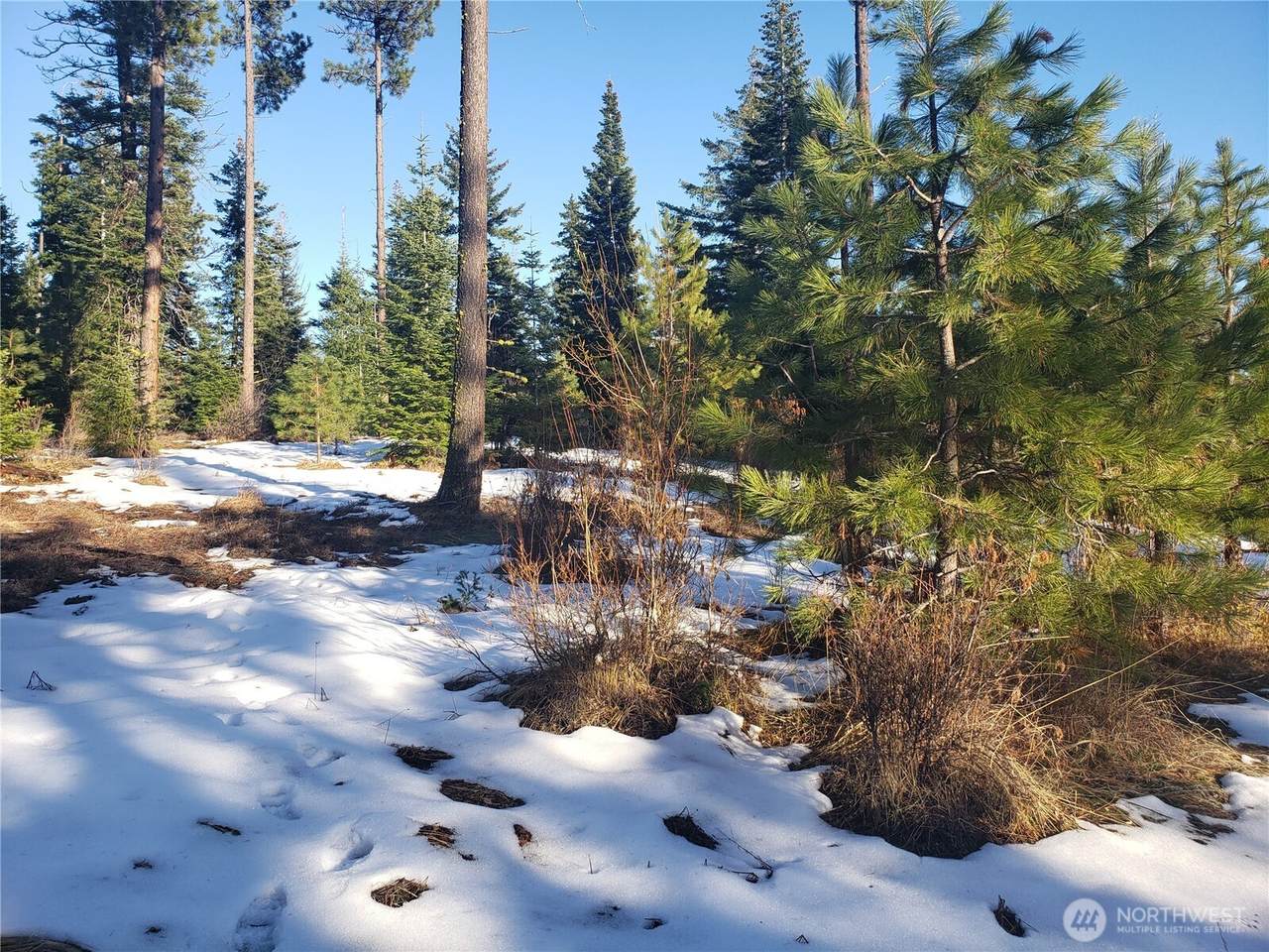 0 Lot F R&R Heights Drive - Photo 1