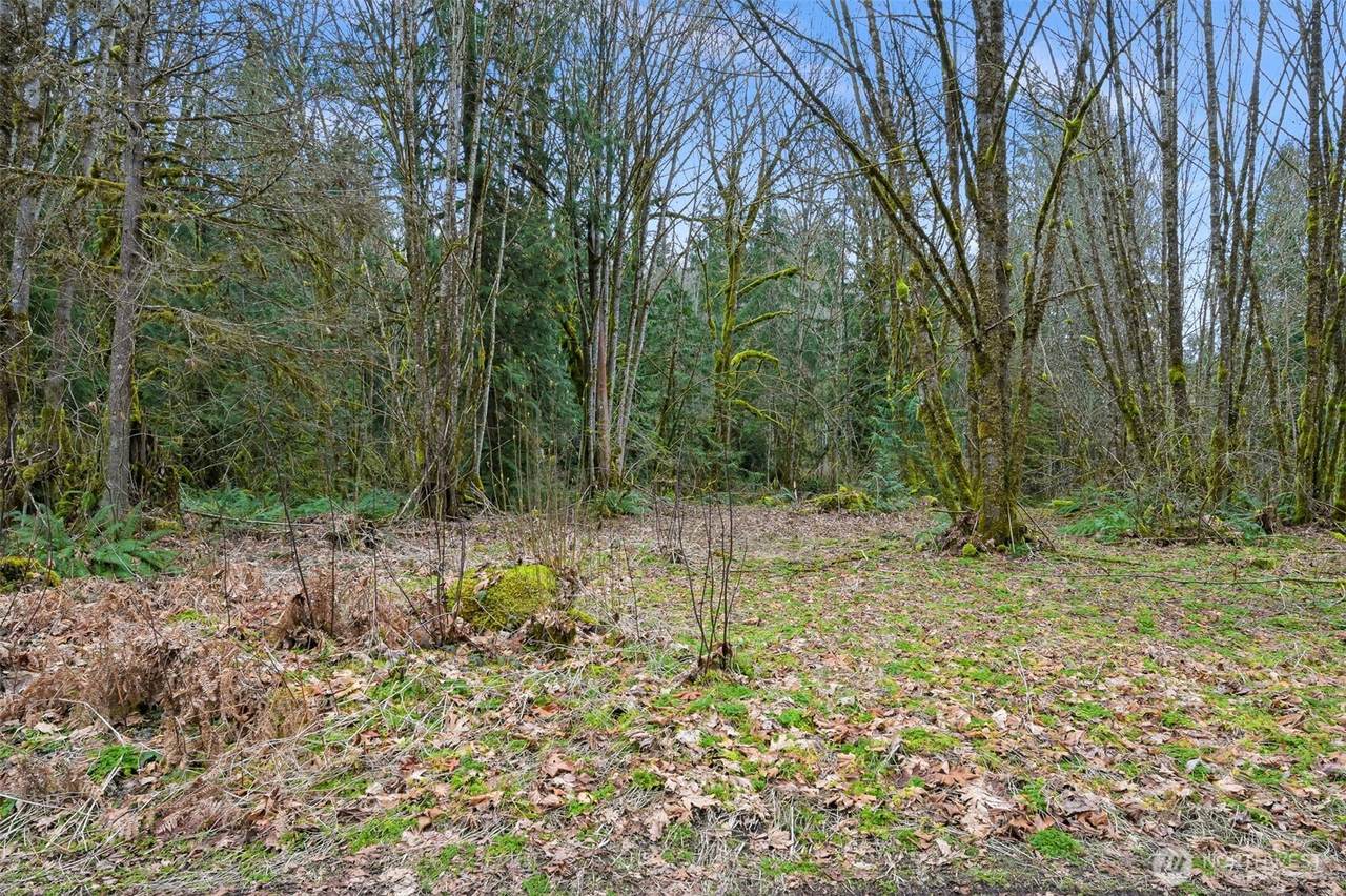 7738 Maple Drive - Photo 1