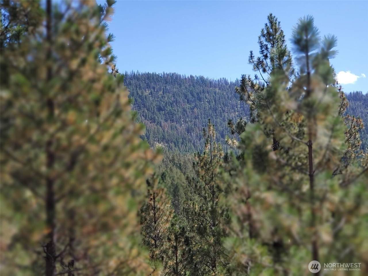 0 Long Horn Trail - Photo 1