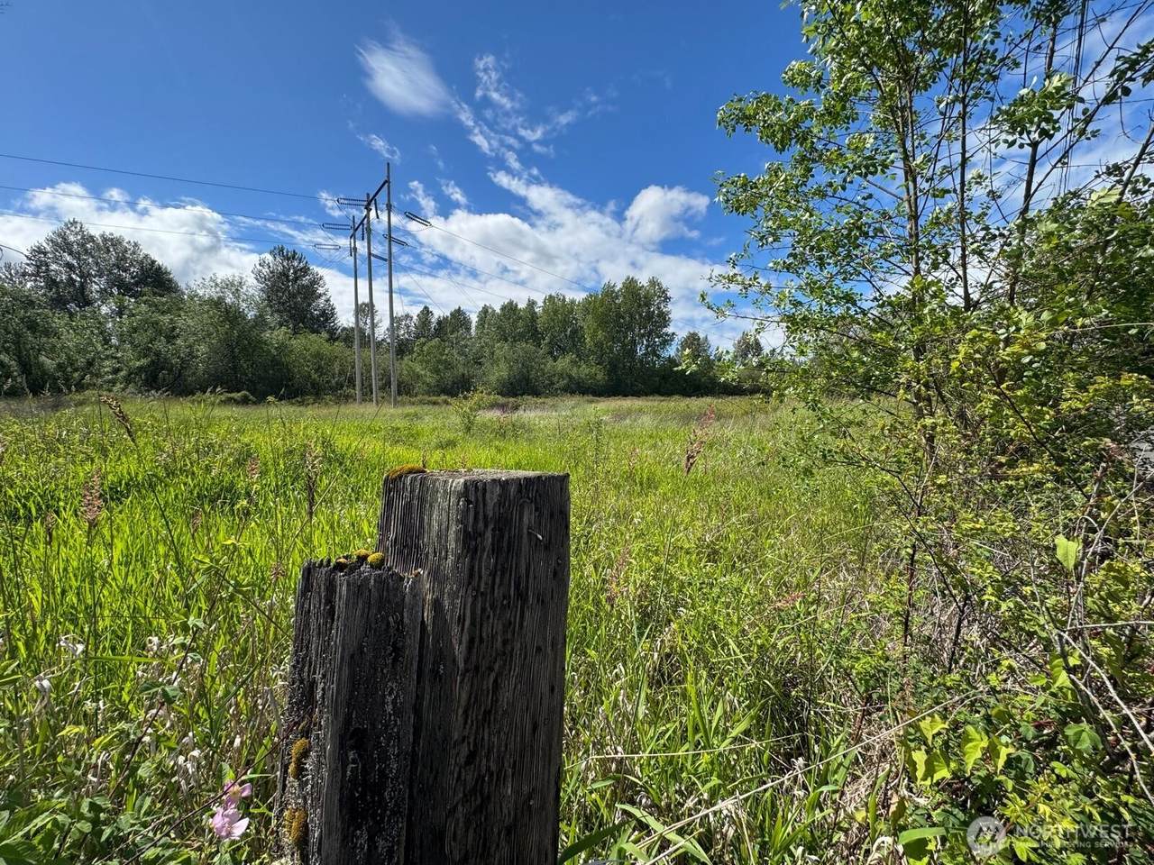 10614 44th Avenue - Photo 1