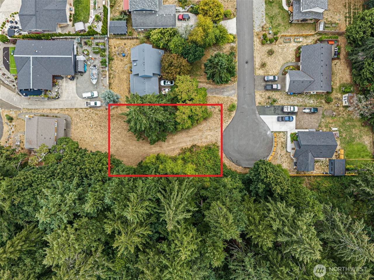 9205 165th Avenue - Photo 1