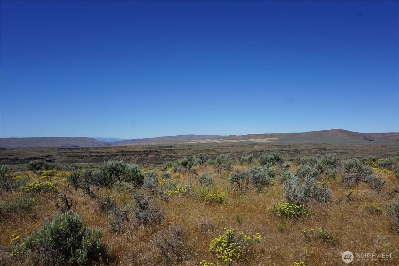 54143 Appaloosa Way - Photo 1