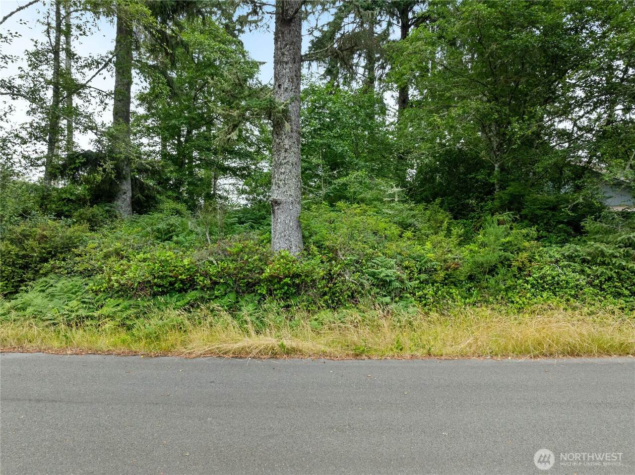 784 Evergreen Avenue - Photo 1