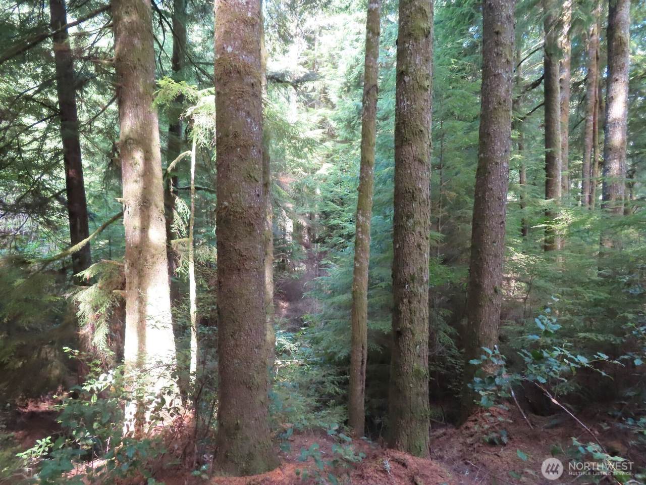 0 XXX State Route 101 - Photo 1