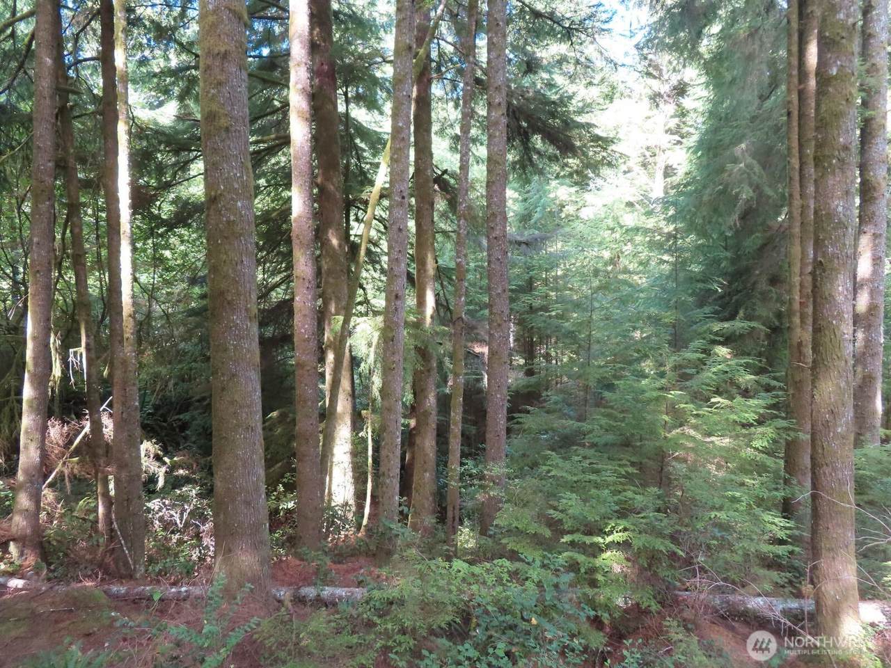 https://bt-photos.global.ssl.fastly.net/nwmls/1280_boomver_1_2576185-1.jpg