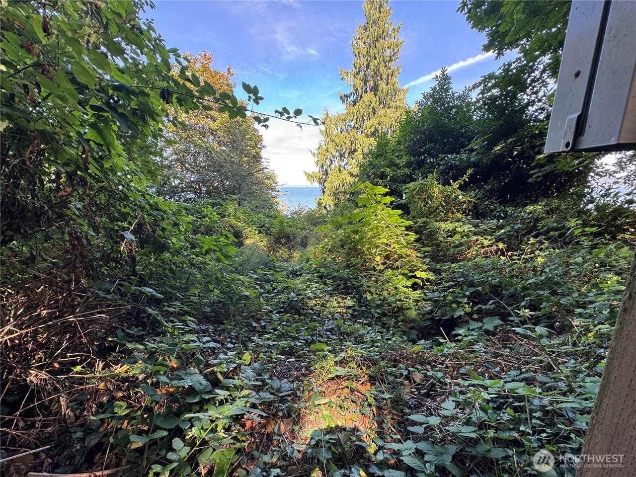 11002 Vashon Highway - Photo 1