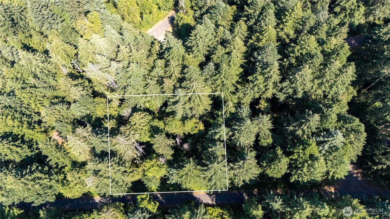 8819 Eckenstam Johnson Road - Photo 1
