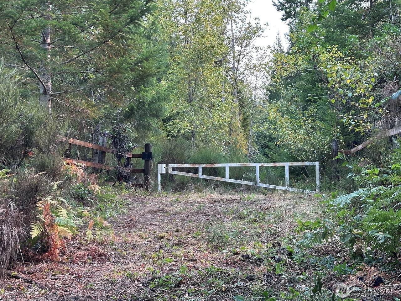 0 Dewatto Holly Road - Photo 1