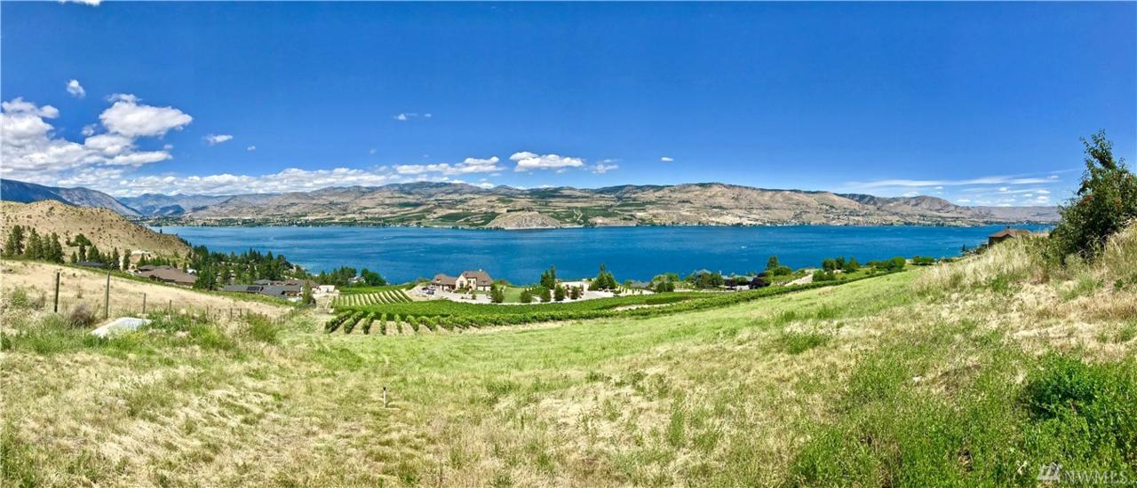 313 Clos Chevalle Rd - Photo 1