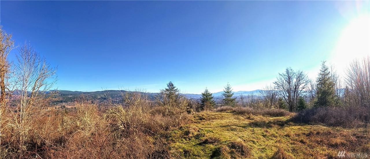 0 Skyview Dr - Photo 1