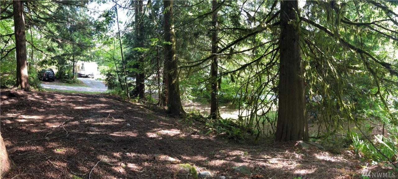 45297 Kamooks Trail - Photo 1