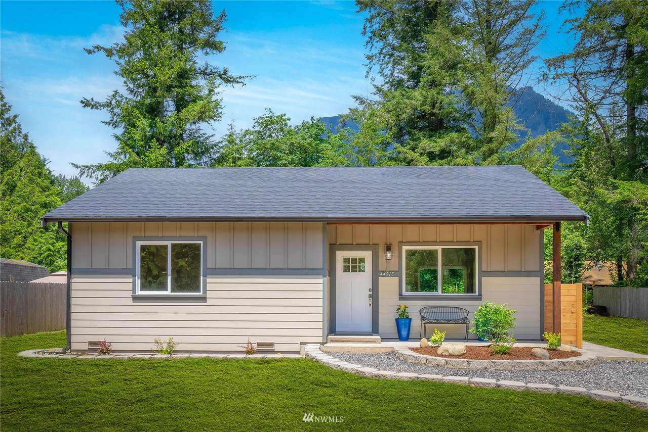 44515 Pine Road - Photo 1