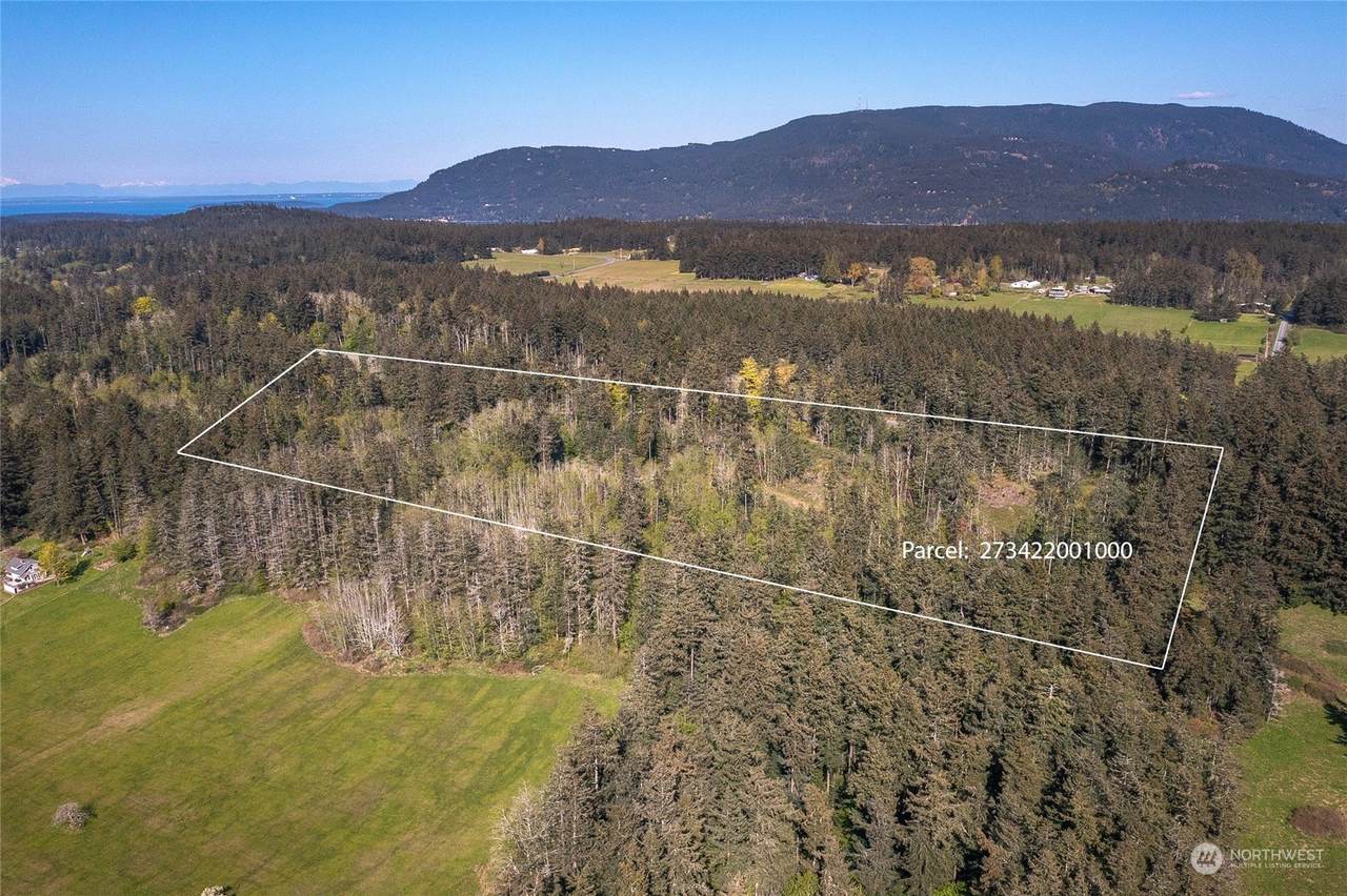 0 X Orcas Road - Photo 1
