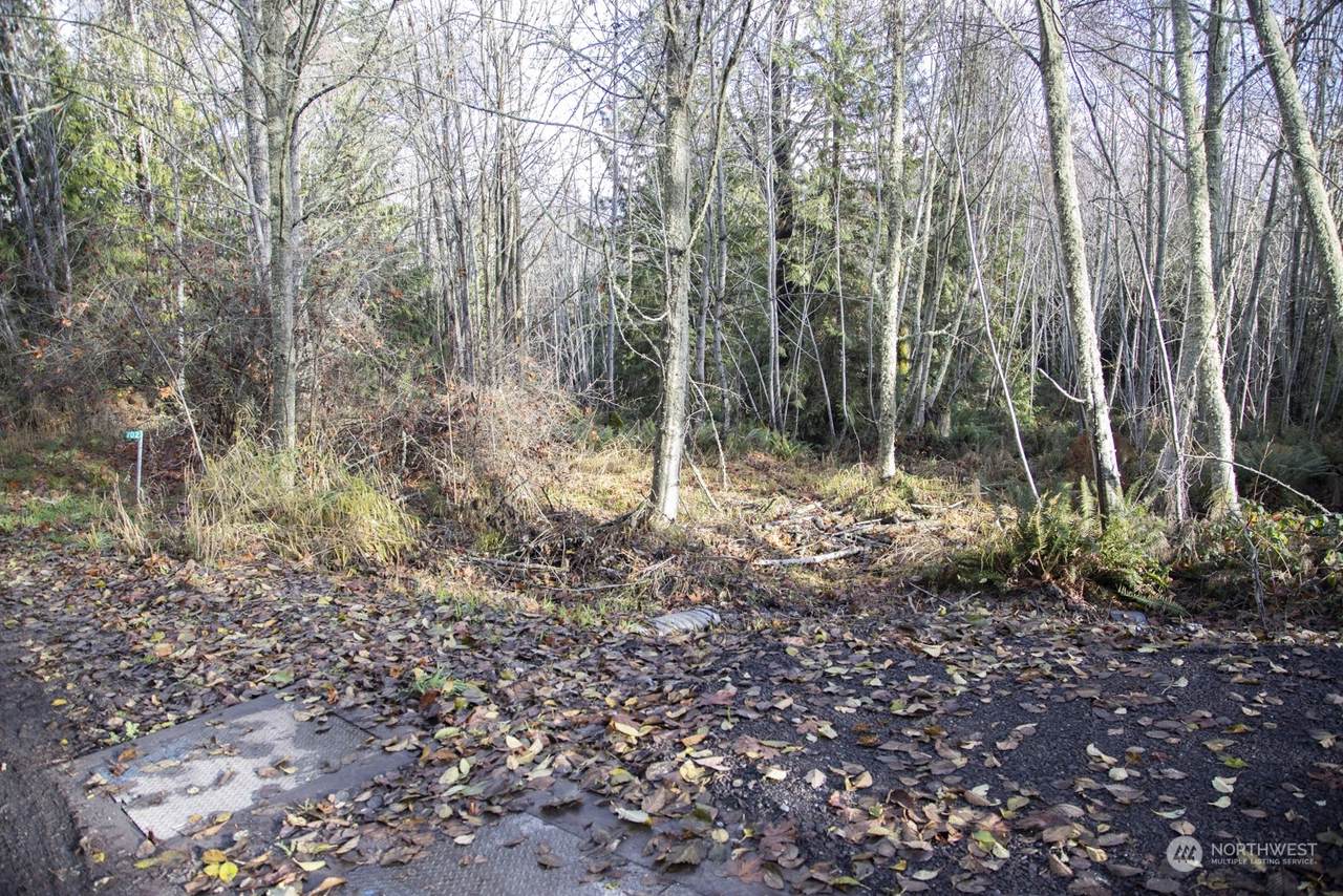 702 Chelsamish Drive - Photo 1