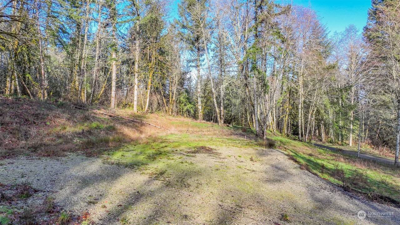 2725 137th Lane - Photo 1