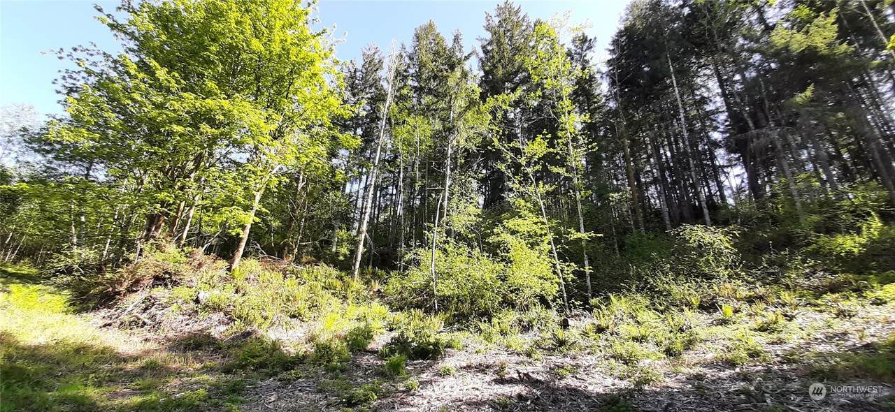 301 Wj Way - Photo 1