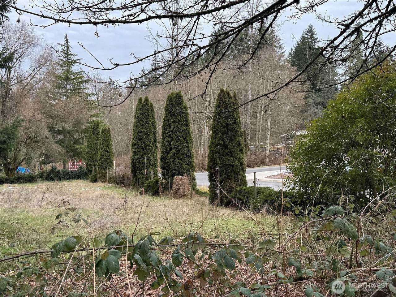 32534 44th Avenue - Photo 1