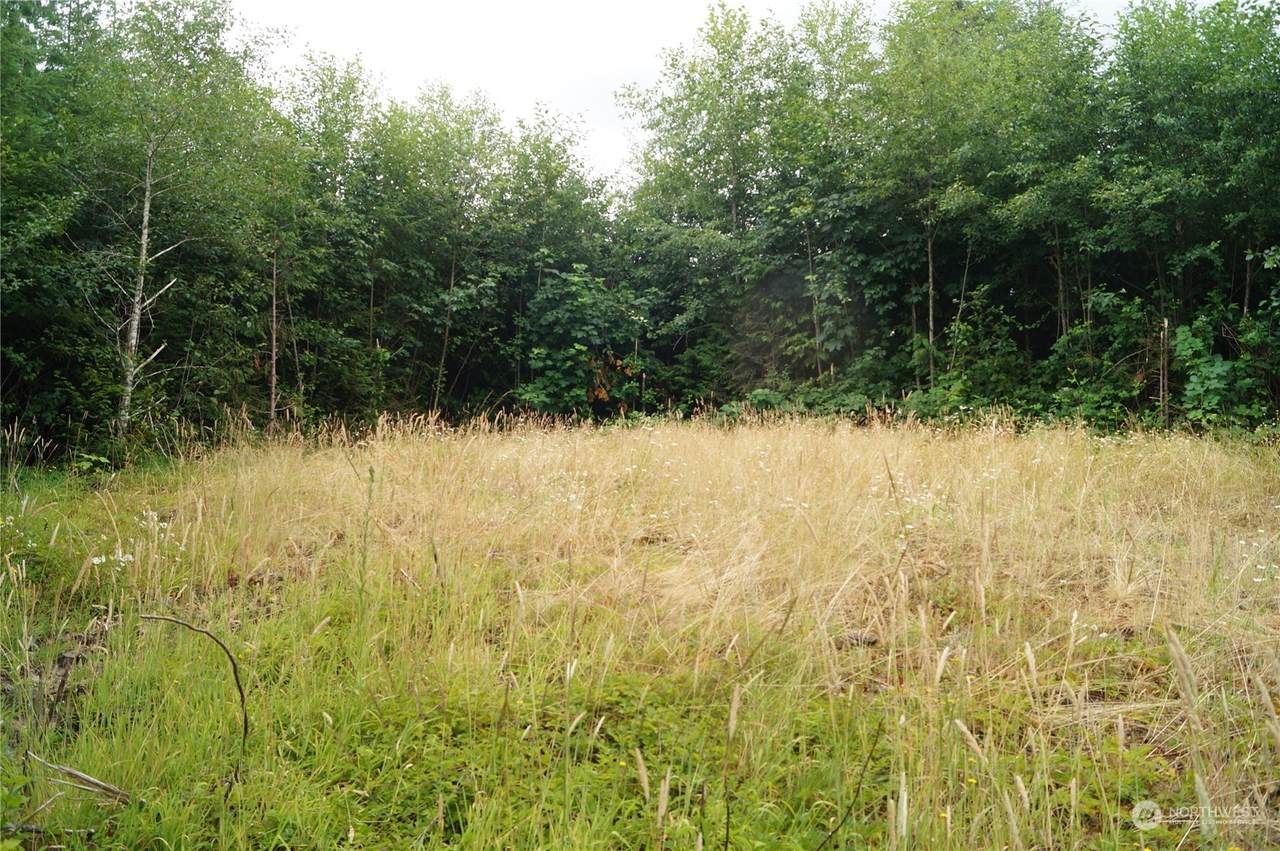 0 Off of Wynooche Wishkah Road - Photo 1