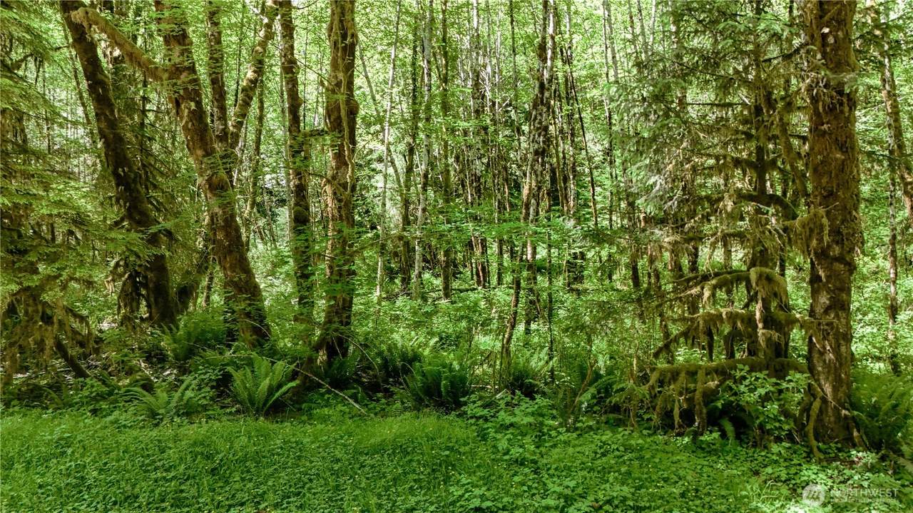 99992 Dowans Creek Road - Photo 1