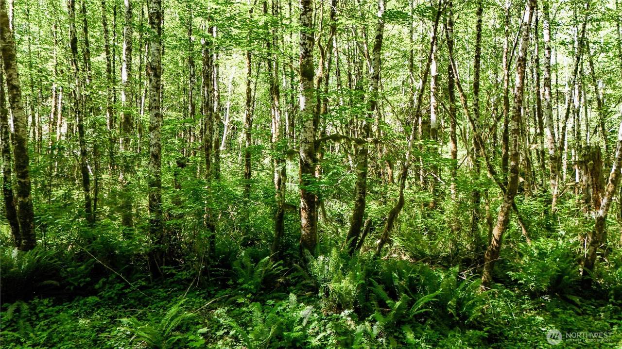 99993 Dowans Creek Road - Photo 1